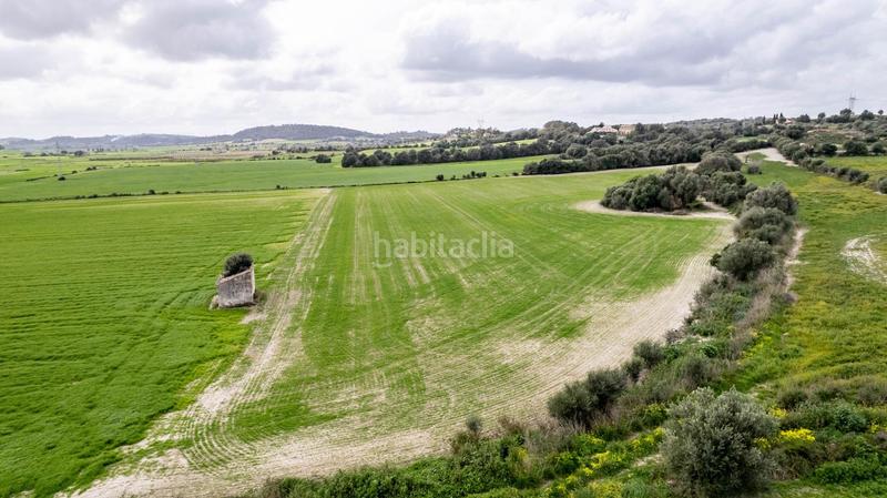 Foto ecd43b9a-50ca-4328-98d0-90b91bd47d56. Terreny residencial a polígono poligono 5 parcela 92 a Maria de la Salut