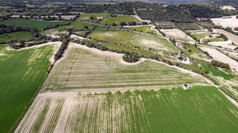 Foto f5d6fd27-2ea9-428d-8511-3c423a8166da. Terreny residencial a polígono poligono 5 parcela 92 a Maria de la Salut