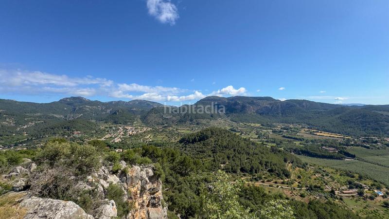 Foto 19c99086-6a5d-4cef-8801-03ba9bb2ccc5. Casale in finca ses conques 86 in Puigpunyent