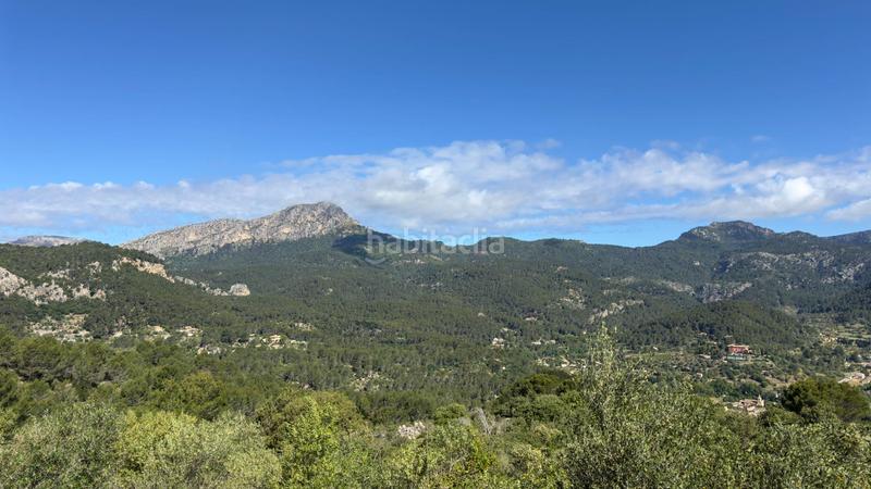 Foto 1ff81cad-1e6f-49ae-bca4-664defdd3e38. Casale in finca ses conques 86 in Puigpunyent