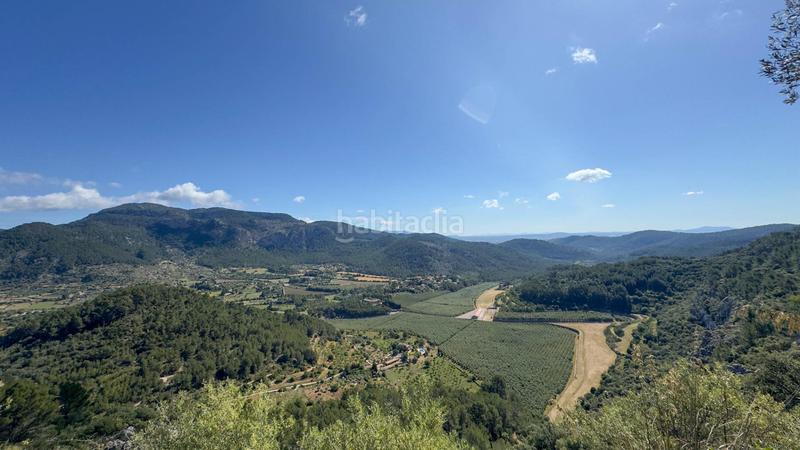 Foto 4e3f39fd-817d-41c3-98f3-0de62ad87c4e. Casale in finca ses conques 86 in Puigpunyent