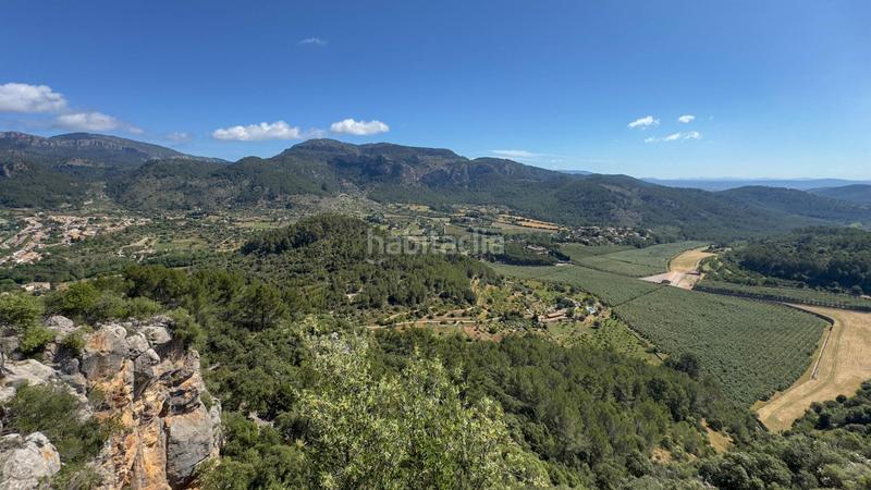 Foto b2301172-ea19-467c-9a4c-de60a2d982f3. Casale in finca ses conques 86 in Puigpunyent