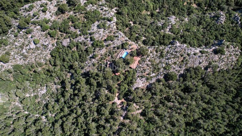 Foto b7051a1c-0f65-44e8-a9f6-dbb58b042ce2. Casale in finca ses conques 86 in Puigpunyent