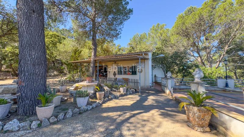 Foto f981f0fd-3227-47a4-bc7c-2476ebb9506b. Casale in finca ses conques 86 in Puigpunyent