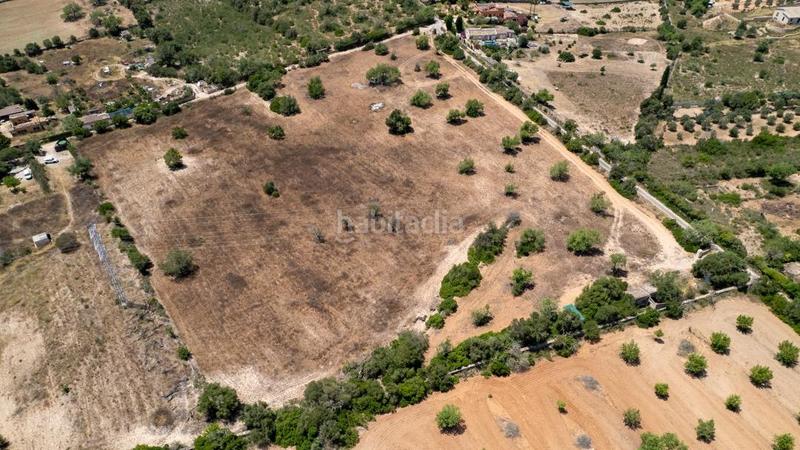 Foto 54e1cdd6-586e-465b-8195-4bd95c0acb05. Terreny residencial a Llucmajor interior Llucmajor