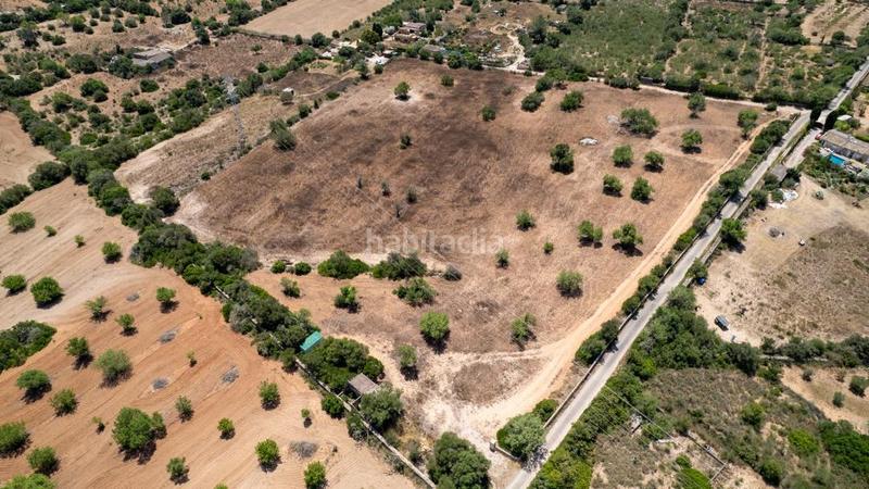 Foto b5a8ab83-c891-453a-9f07-0d3bbdf33caa. Terreny residencial a Llucmajor interior Llucmajor