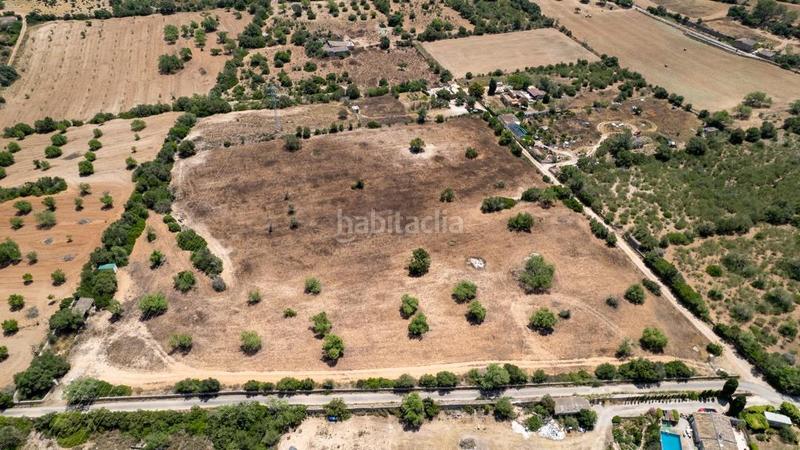 Foto b649ca26-9e10-4c0f-99f3-697021d5c0be. Terreny residencial a Llucmajor interior Llucmajor