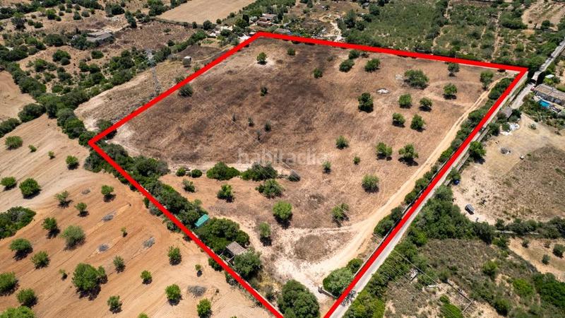 Foto cbf53e22-b66d-4b72-8a78-bb7134fc0f00. Terreny residencial a Llucmajor interior Llucmajor