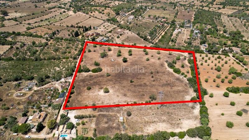 Foto ddb7bd7d-0252-47ed-8d8d-b04498e67db5. Terreny residencial a Llucmajor interior Llucmajor