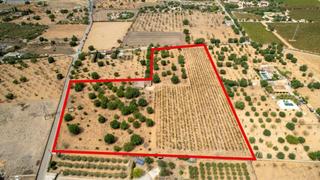 Finca rústica a Consell. Finca rustica urbanizable en consell