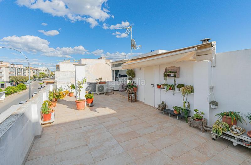 Foto 8aa07543-e3cc-478b-afec-61282b5aeab3. Penthouse in carrer arago 302 in Es Vivero Palma de Mallorca