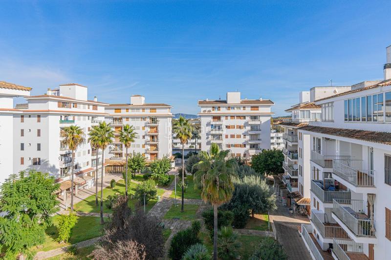 Foto 622d97f2-855d-463a-b017-0d93d95b8a86. Attique dans port d´Alcúdia-platja dálcúdia Alcúdia