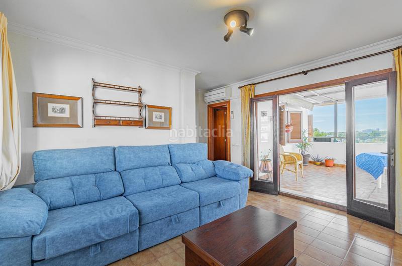 Foto bbba13ce-36db-4c80-8c61-a59621e09988. Attique dans port d´Alcúdia-platja dálcúdia Alcúdia