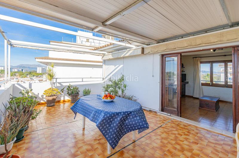 Foto c666b02a-eab8-44bd-9008-123fe00dfecd. Attique dans port d´Alcúdia-platja dálcúdia Alcúdia