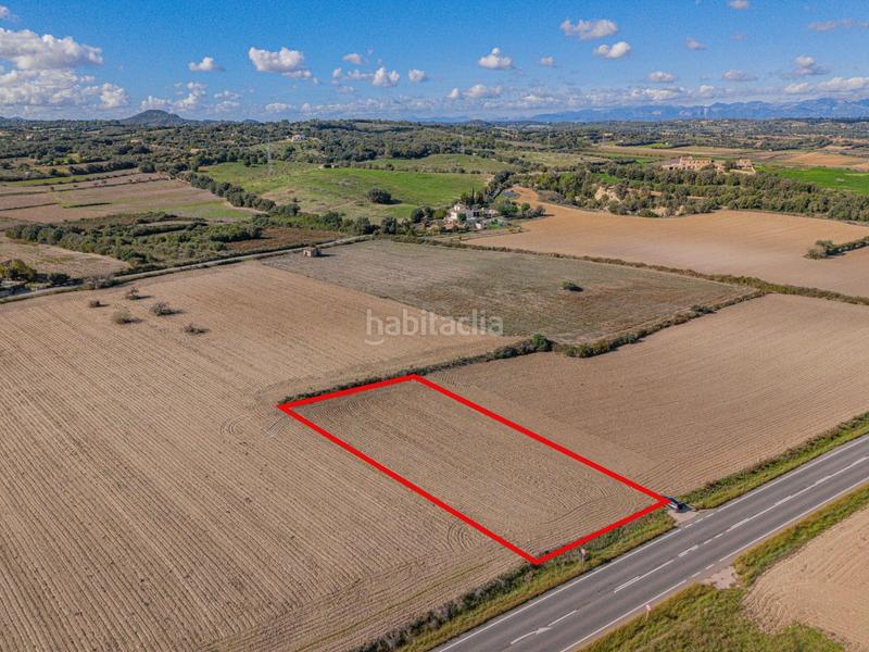 Foto 04685b39-ac21-4d2c-86a1-f48cd43b1180. Fondo rustico in Petra