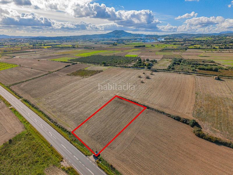 Foto 1cb49034-3300-4186-a45c-5ee7e386ced7. Fondo rustico in Petra