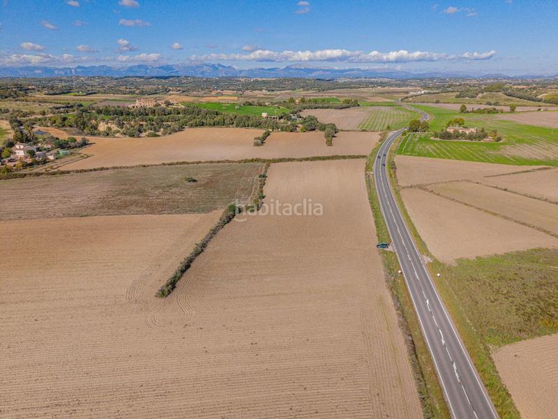 Foto e30ece13-e4b6-43c9-a033-fd13d2d6816b. Fondo rustico in Petra