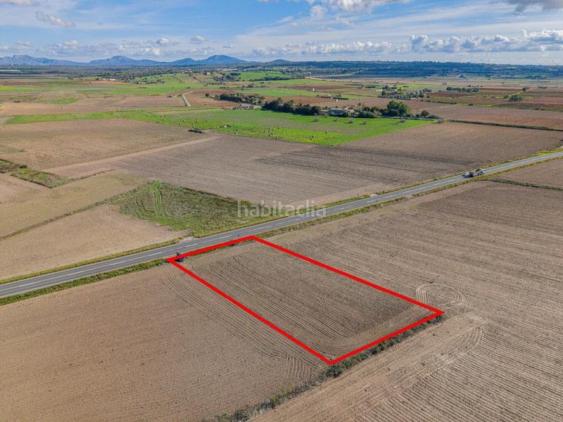 Foto ed9ef118-a764-4453-827b-c5ce5ca3c047. Fondo rustico in Petra