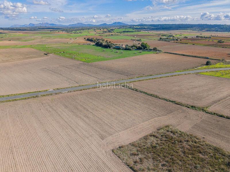 Foto 3e00e8aa-a700-41da-b931-507cd13d31e8. Rural plot in Petra