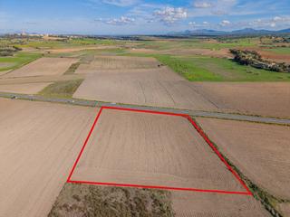 Finca rústica en Petra. Terreno en ariany