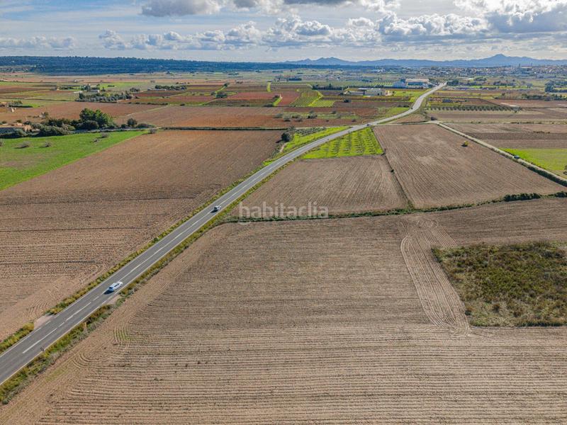 Foto 593c7be0-d604-4636-9181-2c4be14637d9. Rural plot in Petra