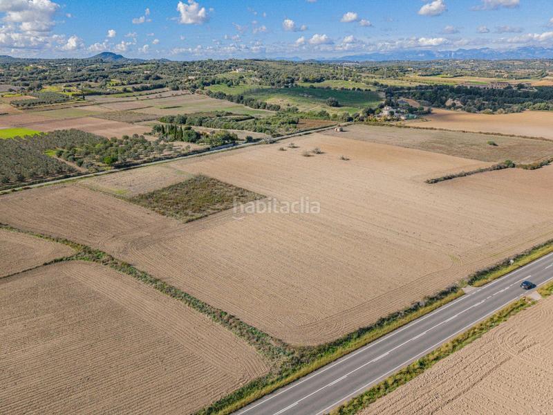 Foto 8f777ccd-c422-48f2-8307-e37a7ba96bcc. Rural plot in Petra