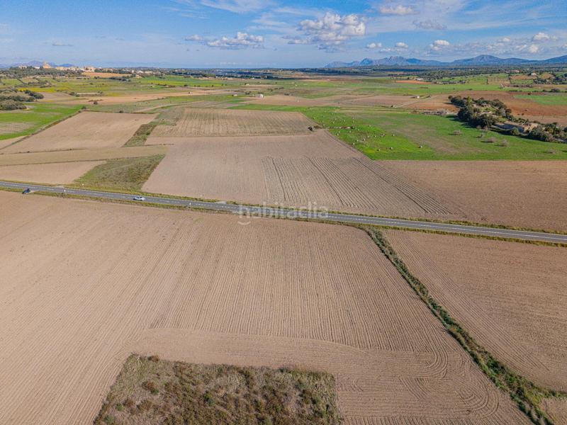 Foto 9001cc54-b051-4c24-86b7-476654c36b7f. Rural plot in Petra