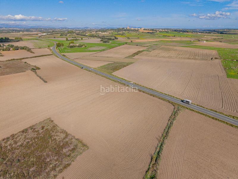 Foto c2ee4b03-a1ea-4589-bed4-1658572a3a08. Rural plot in Petra