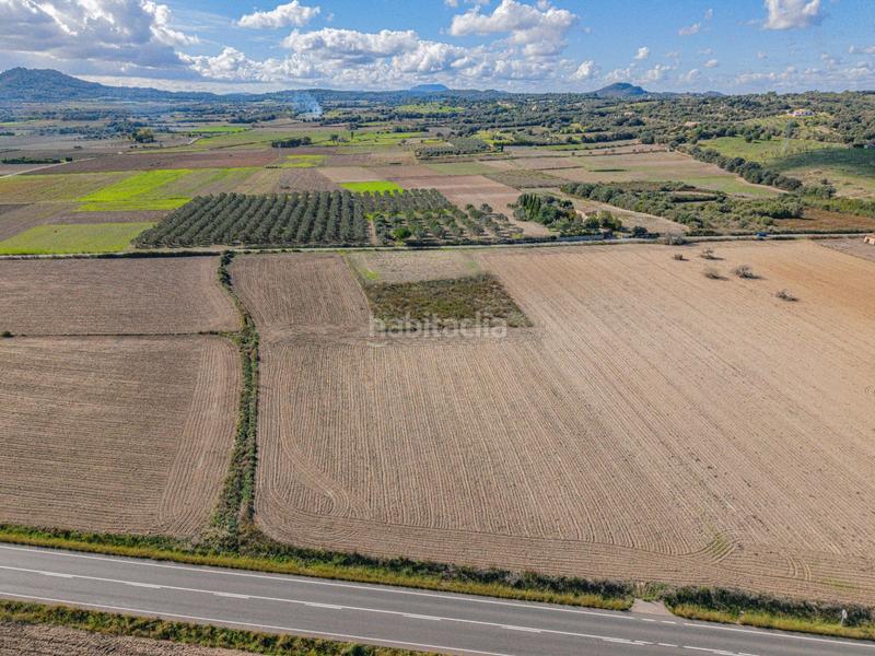 Foto dc15a241-8df2-43e5-807e-a6c5e140873c. Rural plot in Petra