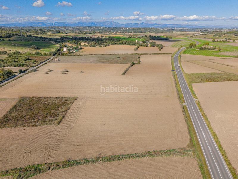 Foto dc25404e-eaf2-4cfc-9b7d-60a4fd38c27d. Rural plot in Petra