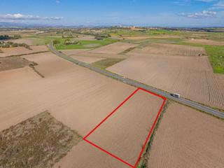 Finca rústica en Petra. Terreno en ariany