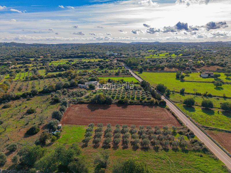 Foto 4885e699-65c7-425c-ae01-943e058a71e1. Rural plot in camino camí de vinyota in Llubí