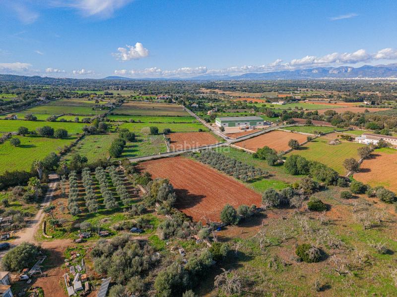 Foto 6aeb9694-5c0a-4e6d-9a8f-6605cd71b60a. Rural plot in camino camí de vinyota in Llubí