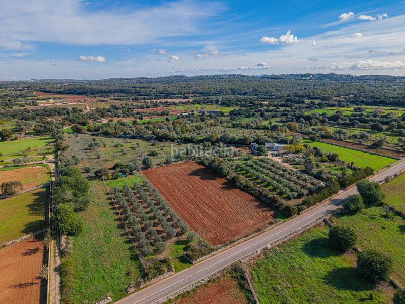 Foto a8ab01b0-43c7-46c8-8b61-92c180b1fecf. Rural plot in camino camí de vinyota in Llubí