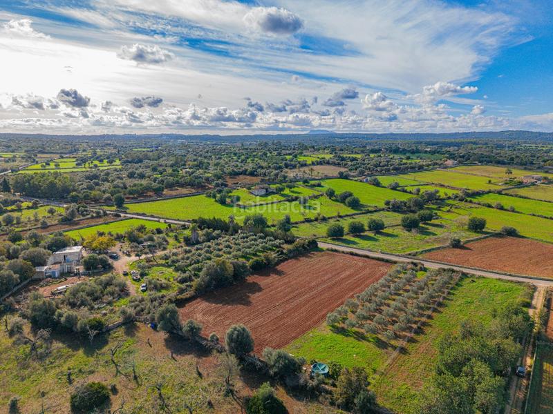 Foto aa0c3d75-3bb1-4b3f-879c-948f0a65332f. Rural plot in camino camí de vinyota in Llubí