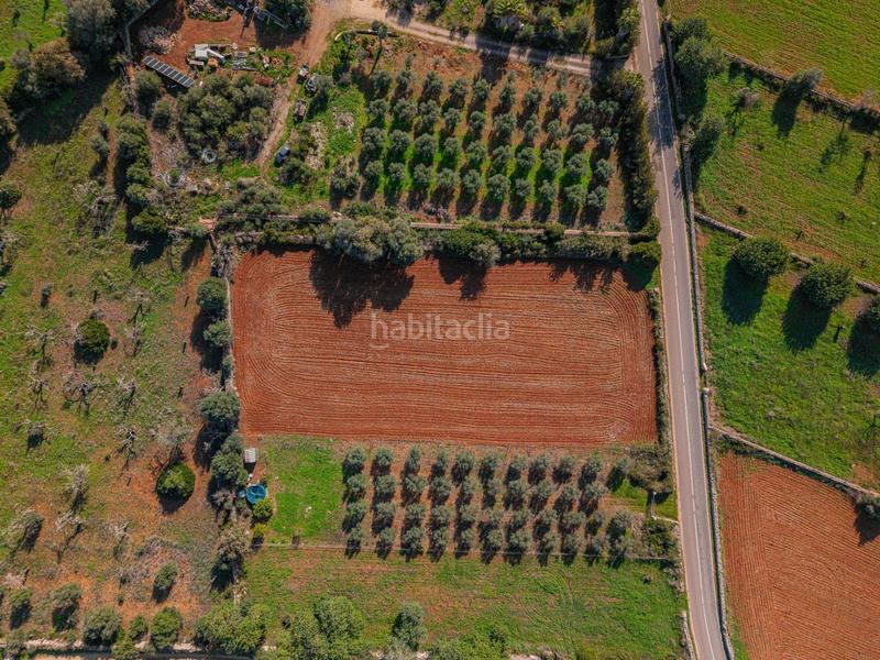 Foto acea9277-4175-485e-b6d0-eebdf149d982. Rural plot in camino camí de vinyota in Llubí