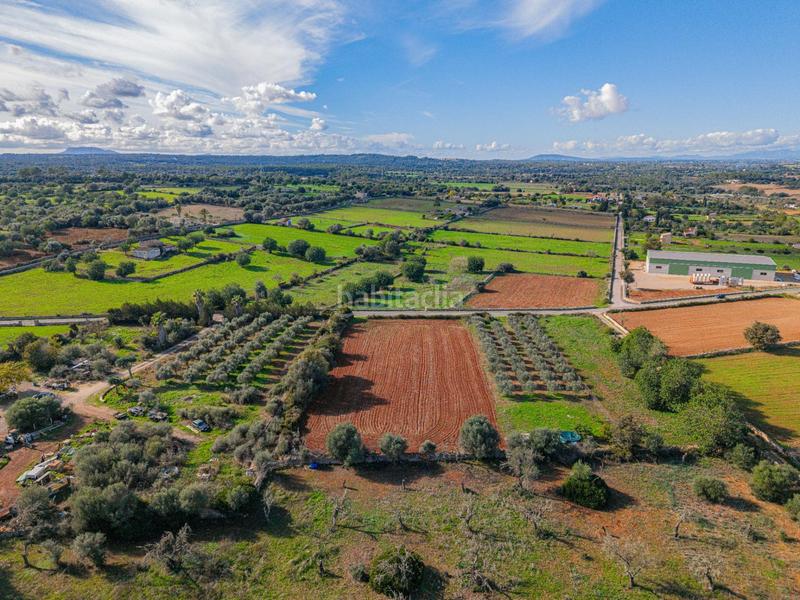 Foto b2870d08-1f33-4432-aadf-3298b1b052e0. Rural plot in camino camí de vinyota in Llubí