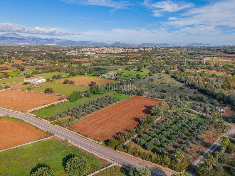 Foto b8d43d85-9947-49f6-a606-de8d34d791a9. Rural plot in camino camí de vinyota in Llubí
