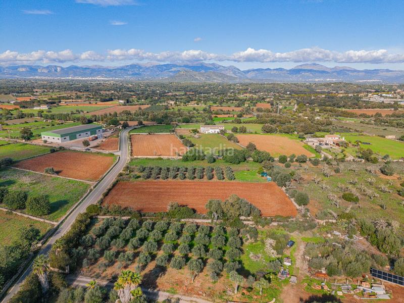 Foto bf3cc12f-87a0-44ff-b712-33fcd6a85bb5. Rural plot in camino camí de vinyota in Llubí