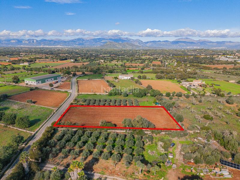 Foto d1c1c19f-aeee-43aa-aee3-a5b093a519fa. Rural plot in camino camí de vinyota in Llubí