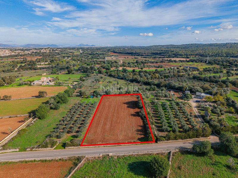 Foto dfc2c7ae-a1c1-41c6-9ea3-1f110d82dabe. Rural plot in camino camí de vinyota in Llubí