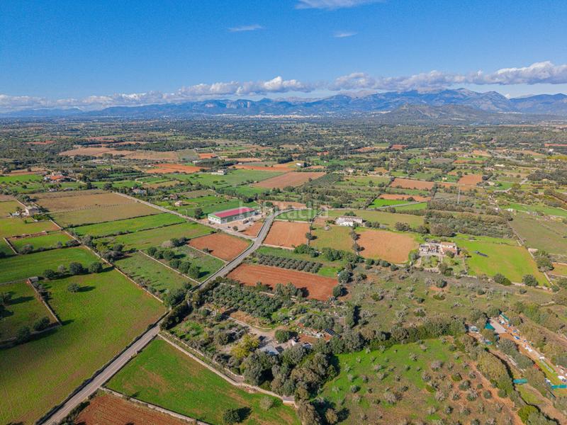 Foto ed41f907-9b8c-4813-b18e-874532783647. Rural plot in camino camí de vinyota in Llubí