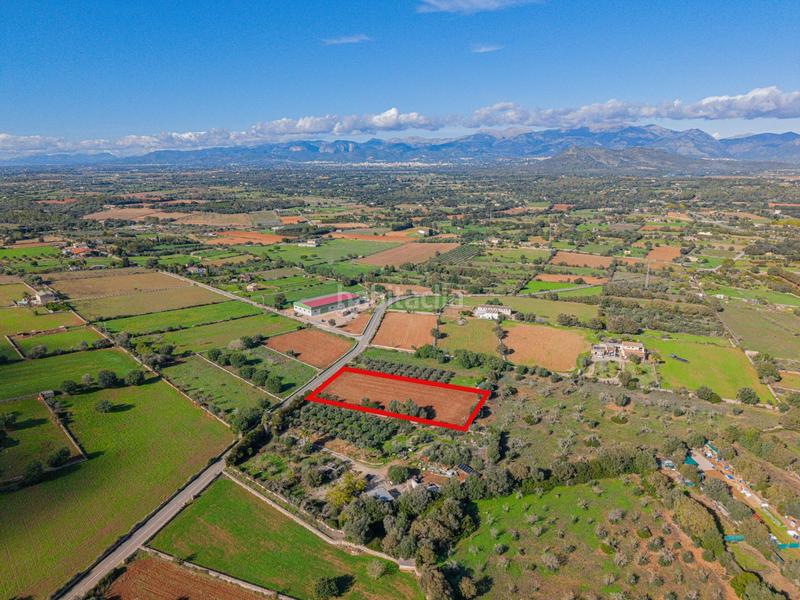 Foto efcfcf39-825e-48e5-8c9e-b93ad5e32011. Rural plot in camino camí de vinyota in Llubí