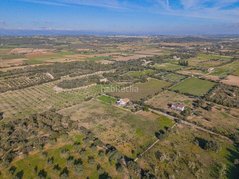 Foto 875d277d-68f7-4104-9e9d-313f986fb3dd. Masia amb aparcament a Sineu