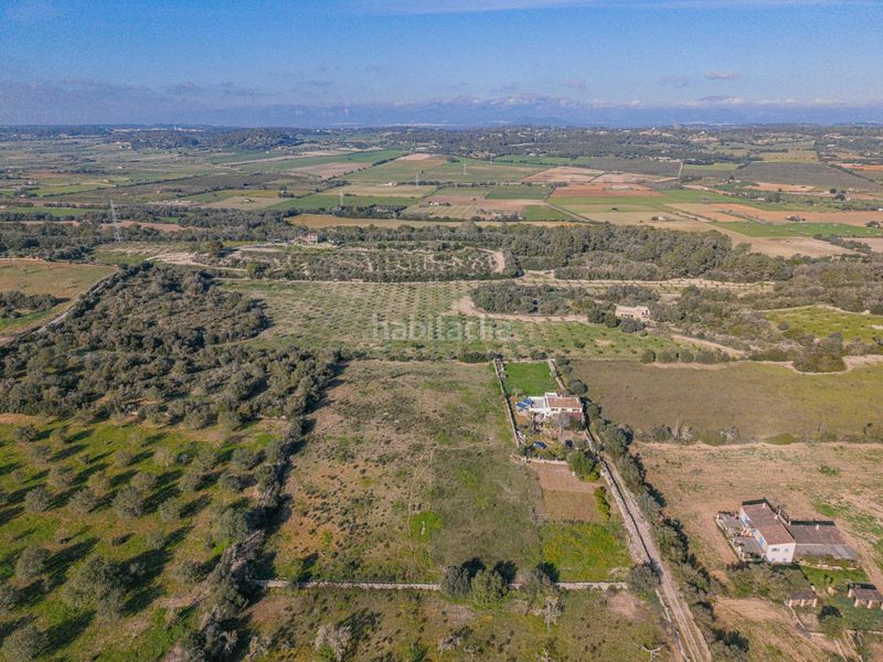 Foto d11a3a94-e65b-4e59-b121-bf1140a74d46. Masia amb aparcament a Sineu