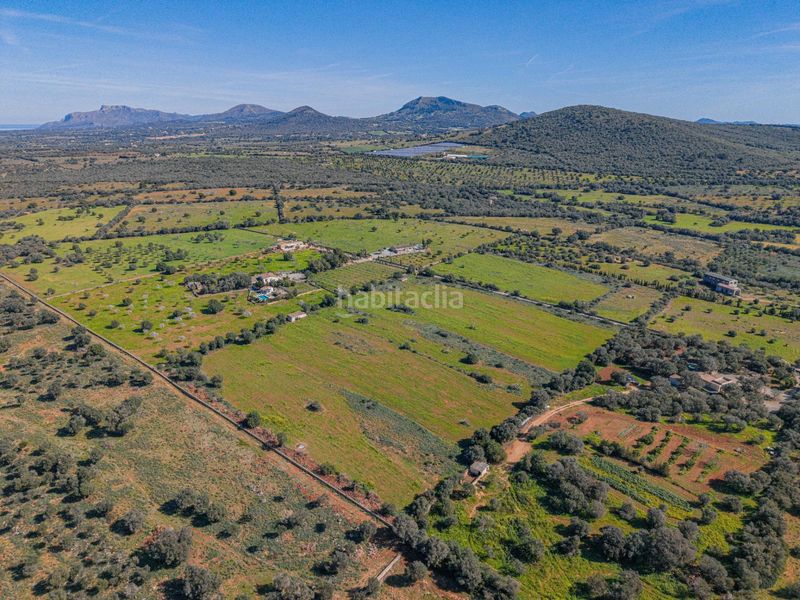 Foto 4a178ed0-9ba3-43b6-a66c-34c3ff6fa5f1. Finca rústica a Manacor centre Manacor