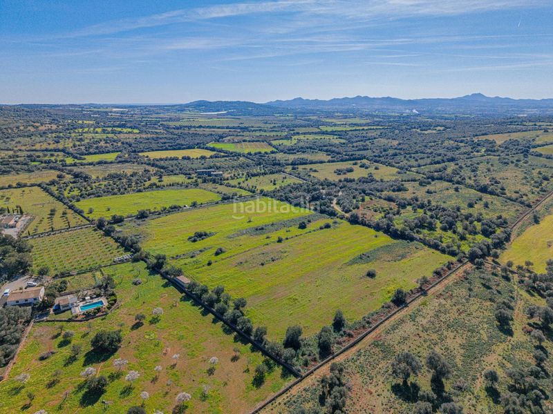 Foto a5f37d90-d3fe-4031-9029-cc6131512870. Finca rústica a Manacor centre Manacor