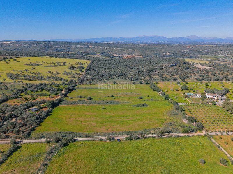 Foto fd7abcf4-f3bc-435c-9b60-6e9c66770417. Finca rústica a Manacor centre Manacor