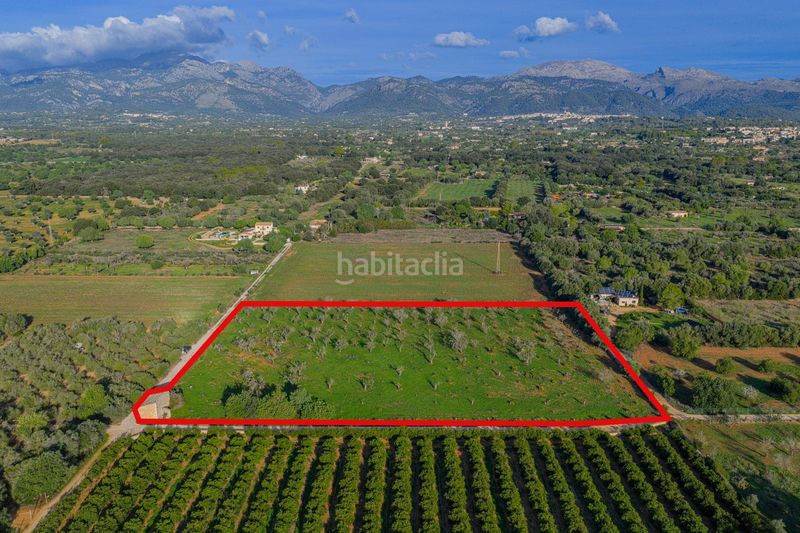 Foto 00a32377-da1b-4026-9adf-d6ab44901eeb. Terreny residencial a Búger