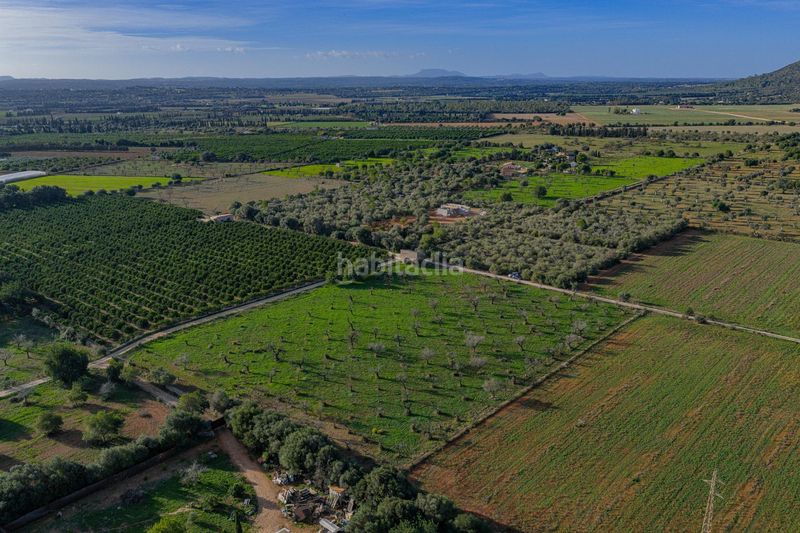 Foto 02758038-8eba-422b-9bc7-3d966e4db659. Terreny residencial a Búger